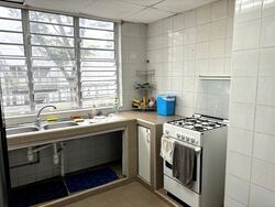 Pandan Valley (D21), Condominium #477130471